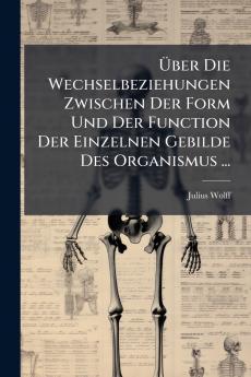 Über Die Wechselbeziehungen Zwischen Der Form Und Der Function Der Einzelnen Gebilde Des Organismus ...