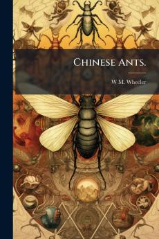 Chinese Ants.