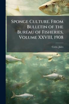 Sponge Culture. From Bulletin of the Bureau of Fisheries Volume XXVIII 1908