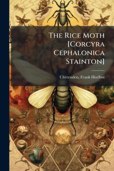 The Rice Moth [Corcyra Cephalonica Stainton]