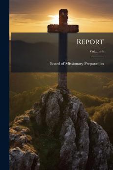 Report; Volume 4