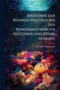 Anatomie der Röhren-Holothurie des pomeranzfarbigen Seesterns und Stein-Seeigels