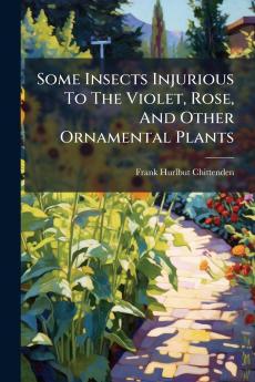 Some Insects Injurious To The Violet Rose And Other Ornamental Plants