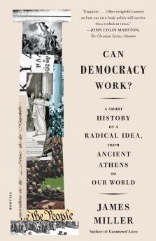 Can Democracy Work?