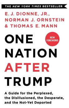 One Nation After Trump