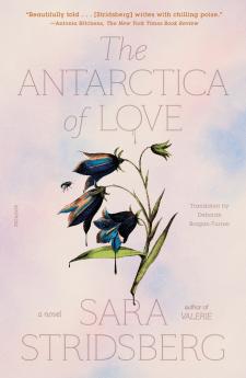 Antarctica of Love