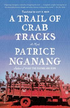 Trail of Crab Tracks