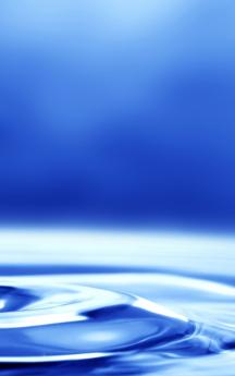 The Life of a Low-Carb Zealot