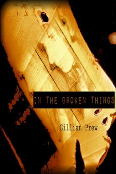 In the Broken Things