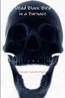 Dead Black Bird in a Furnace