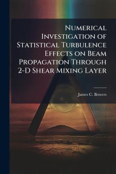 Numerical Investigation of Statistical Turbulence Effects on Beam Propagation Through 2-D Shear Mixing Layer