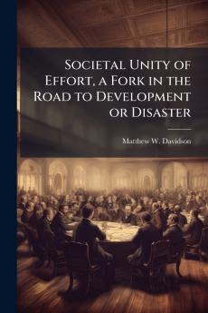 Societal Unity of Effort a Fork in the Road to Development or Disaster