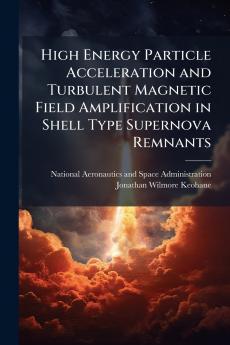 High Energy Particle Acceleration and Turbulent Magnetic Field Amplification in Shell Type Supernova Remnants