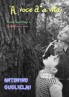 'A voce d''a vita