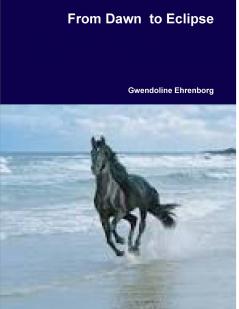 From Dawn  to Eclipse