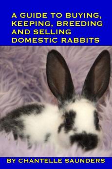 A Guide To Buying Keeping Breeding And Selling Domestic Rabbits