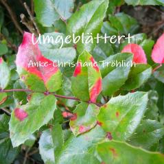 Umgeblättert