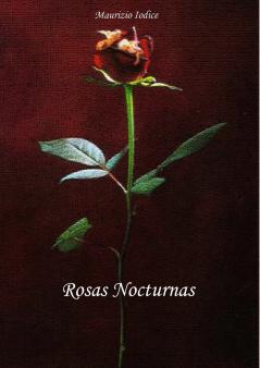Rosas Nocturnas