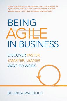 Being Agile in Business (Book)