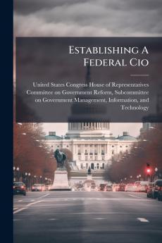 Establishing A Federal Cio