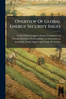Overview Of Global Energy Security Issues