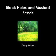 Black Holes and Mustard Seeds