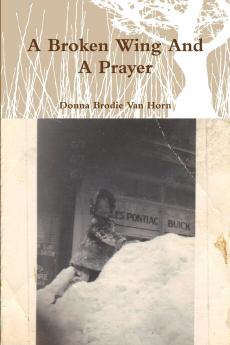 A Broken Wing And A Prayer