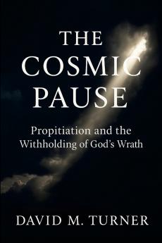 The Cosmic Pause