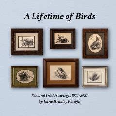 A Lifetime of Birds