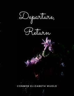 Departure Return