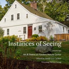 Instances of Seeing Volume 2