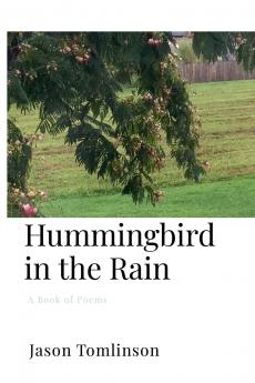 Hummingbird in the Rain