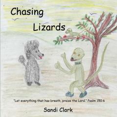 Chasing Lizards