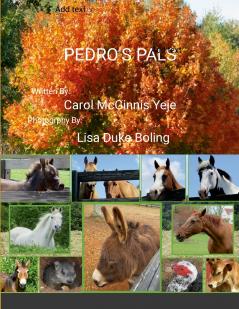 Pedro's Pals