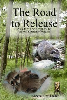 The Road to Release