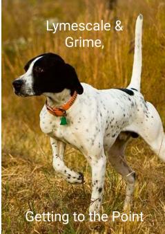 Lymescale & Grime Getting to the Point