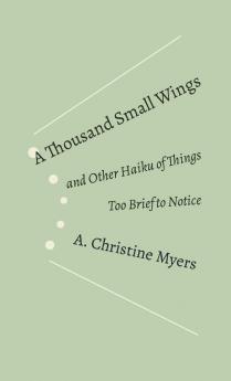 A Thousand Small Wings