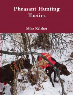 Pheasant Hunting Tactics