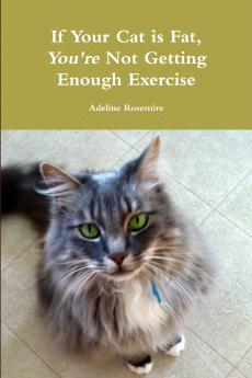 If Your Cat is Fat You're Not Getting Enough Exercise