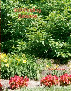 Still Finding Balance