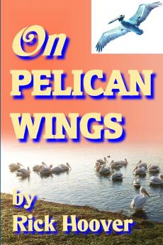 On Pelican Wings