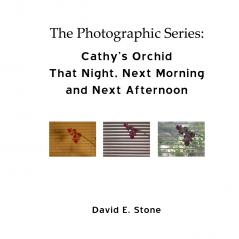 Cathy's Orchid - That Night Next Morning  and Next Afternoon