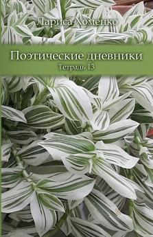 Poeticheskie dnevniki. Tetrad 13
