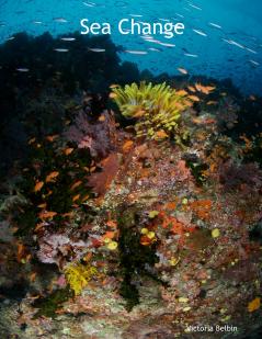 Sea Change