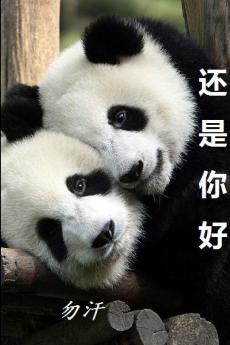 Still you are the one