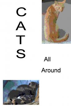 Cats All Around