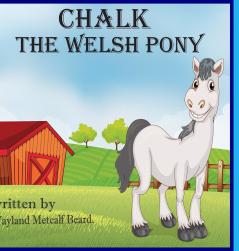 CHALK THE WELSH PONY