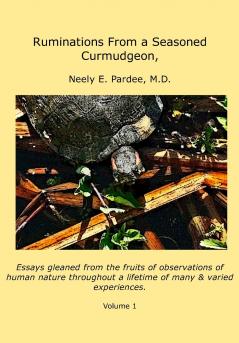 Ruminations From a Seasoned Curmudgeon