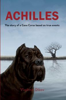 Achilles-A story about friends