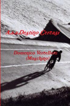 A.a.a.Destino Cercasi